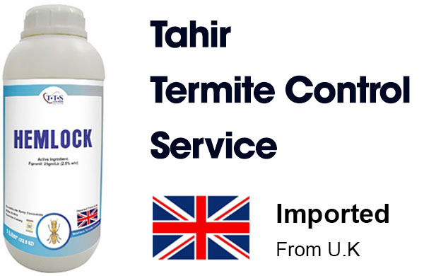 Tahir Termite Control Service Tahir Termite Control Service