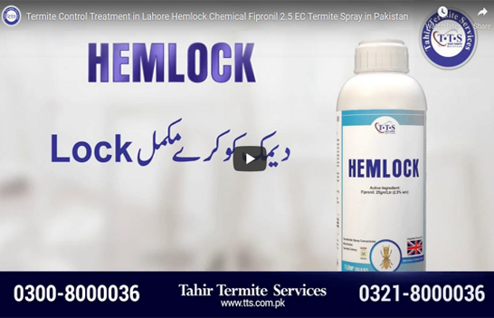 HEMLOCK Termite Control Spray HEMLOCK Termite Control Spray