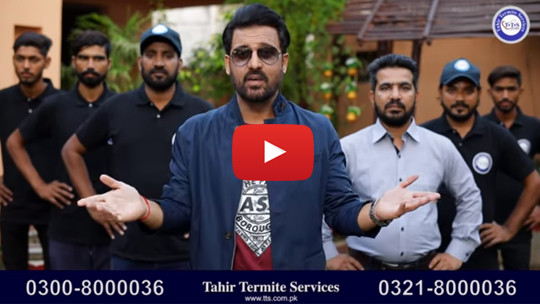 Tahir Termite Service Pest Control Service