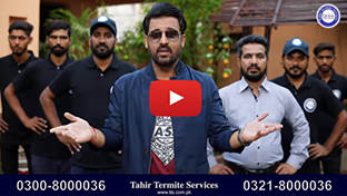 Tahir Termite Service 